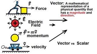 Physics 1  Vectors 1 of 21 What Is A Vector [upl. by Adall]