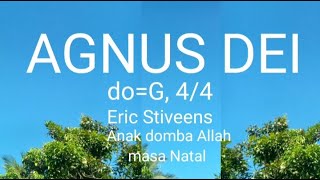 Agnus Dei Eric stiveensinstrumen lagu rohaniNatal dengan lirik tanpa vocal cover [upl. by Aiza670]