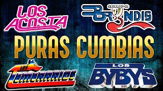 Megamix CUMBIA Lo Mejor De Los Bybys Grupo Bryndis Guardianes Del Amor Los Acosta Y Mas [upl. by Nnylharas170]