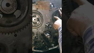 Timing Gear ⚙️ installation John Deere 4045 4 cylinder engine overhauling [upl. by Naleag]