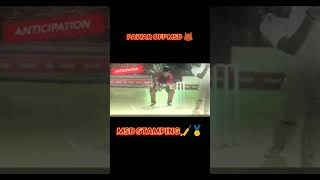 pawar off MSD MS Dhoni wicket keeping 🏏🥇trending msdhoni legend viral [upl. by Arekahs]