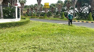 Bringing Back the Beauty Volunteers Tame the Grass to Reveal a Stunning Public Garden [upl. by Veejar409]