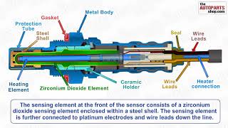 How Oxygen Sensor Works [upl. by Roxana]