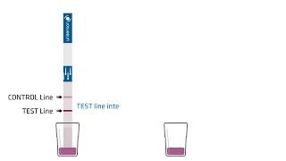 Lateral Flow Webinar A Guide to Lateral Flow Immunoassay Development [upl. by Raskind]