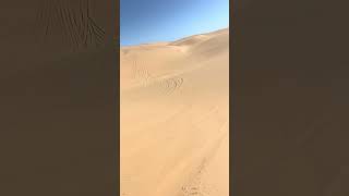 Amazing time Jeeping The Namib Desert NamibNaukluft National Park Sandwich Harbour Namibia 🇳🇦 [upl. by Snave]