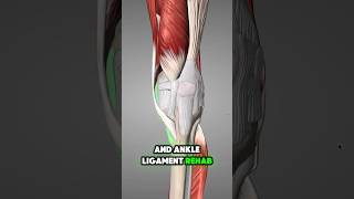 Rebuild Your Knee and Ankle Strength with These 4 Exercises kneepain [upl. by Etiuqram563]