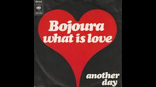 Bojoura  What is love Nederbeat  pop  Den Haag 1973 [upl. by Ceciley437]