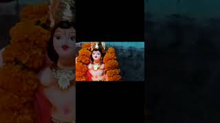 kartik puja shorts mere nishan [upl. by Rastus]