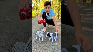 RC Remote control Two Horse 🐎 with Cow testing 🔥 [upl. by Enida485]