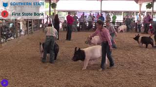 2024 Adams County Fair  Market Hog Show [upl. by Schinica]