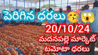 201024 Madanapalle Tomato Market price Today  Today Tomato Market Rate in Madanapalle today [upl. by Karlise]