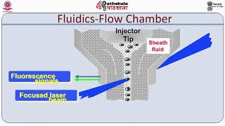 Basic principle of Flow Cytometry [upl. by Hoag]