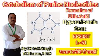 Catabolism of Purine Nucleotides  Hyperuricemia amp Gout  Biochemistry  BP203T  L51 [upl. by Aninad]