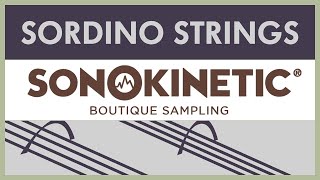 Alex Niedt  Small Wonders Sonokinetic Sordino Strings Official Demo [upl. by Notnef141]