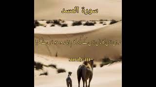 AL QURAN Urdu holyqurantranslation subhanallah youtubeshorts 10000000views [upl. by Boiney]