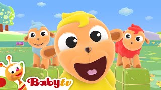 Schaapje Schaapje  Liedjes amp Rijmpjes  BabyTV Nederlands [upl. by Asirralc]