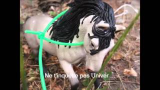 Schleich quotLes chevaux sauvagesquot épisode 2 [upl. by Arihsak]