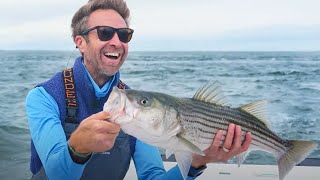 Vineyard Sound was Loaded with Fish [upl. by Iroak383]