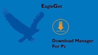 EagleGet Download Manager For Pc  2018 [upl. by Neve]