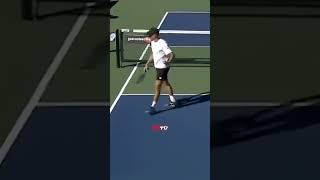 Pure skill or luck 🤔 pickleball pickleballislife pickleballhighlights [upl. by Nylrak]