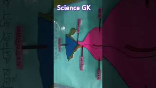 Human endocrine glandsscience anatomy biology neet [upl. by Ecnerrat296]