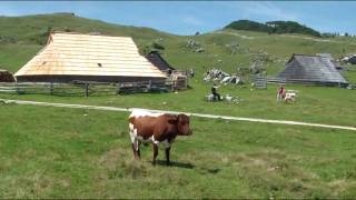 Velika planina1482011 [upl. by Marte149]