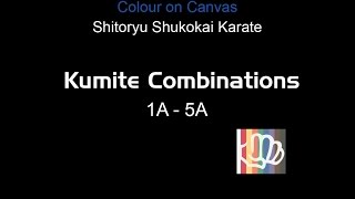 Shitoryu Shukokai Karate Kumite Combinations 1A  5A [upl. by Drawde]