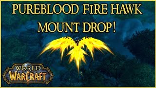 Pureblood Fire Hawk Mount Drop WoW Smoldering Egg Of Millagazor [upl. by Werbel]