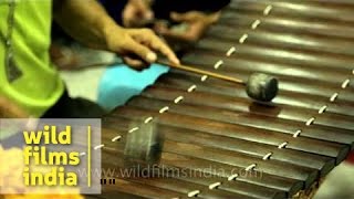 Thai xylophone being played by musician  Erawan Shrine Bangkok [upl. by Devan318]