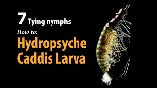 How to • Fly tying • Hydropsyche Caddis Larva • fishing tips [upl. by Aihsenod]