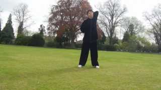 Yi Jin Jing Qi Gong  Tendor Changing Classic with Yafeng Ding of Tai Chi 4 Life School [upl. by Yetnom]