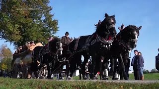 Bavarian pilgrimage tradition honors St Leonhard the patron saint of farmers horses and livestock [upl. by Aitenev]