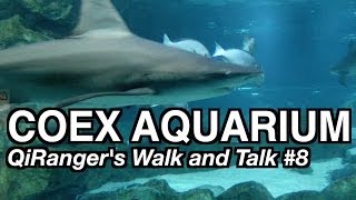 The COEX Aquarium  QiRangers Walk and Talk 8 GoPro Korea [upl. by Harlene]