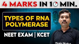 4 Marks in 10 Minutes RNA Polymerase  Types of RNA Polymerase  NEET  KCET [upl. by Cutty]