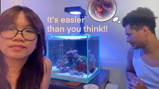 WE MADE A NANO NOFILTER REEF TANK FOR SOME CLOWNFISH Nano Reef Ep 1 hardscape and fish [upl. by Russel]