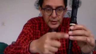 music lesson 1 first steps with a descant recorder [upl. by Danelle]