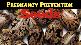 Assurance way of using Castor seed for prevention [upl. by Adnahsal943]