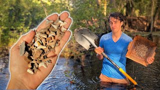 Shark Tooth Hunting in a Florida Creek  Digging and Sifting to Find Fossils  PaleoCris [upl. by Ivek]