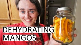 How To Dehydrate Mangos  One Of The TASTIEST Dried Fruits  Fermented Homestead [upl. by Nicolais387]