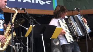 Accordion Music  Alex Meixner  Beer Barrel Polka Rosamunde Roll out the barrel [upl. by Oicnerual]