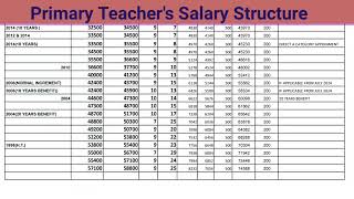 Primary Teacher Salary July 2024 এ কার কত হবে জেনে নিন WITH 14 DA [upl. by Calbert]