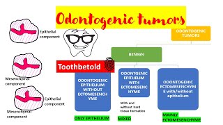 Odontogenic tumors  Overview  Classification [upl. by Hsekar]