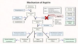 Hemostasis Lesson 5  Antiplatelet Meds Part 1 of 2 [upl. by Wallie461]