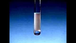 Barium Chloride and Sodium Sulfate [upl. by Annairda78]