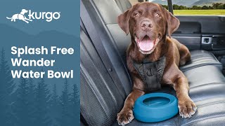 The SplashFree Wander Water Bowl  Nospill travel bowl for dogs [upl. by Suzie]