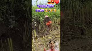 Comedy 😅🤣 short shorts foryou shortfeed funny comedy youtubeshorts maleklife1 tiktok 😅 [upl. by Orenid]