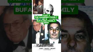 Bufalino Family amp Gambino Family Dispute Pt 2 [upl. by Jacquie]