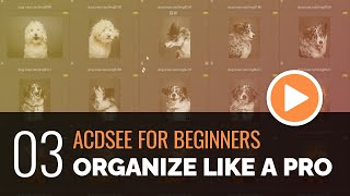 ACDSee for Beginners  03  Organize Like a Pro with Manage Mode [upl. by Ellekram]