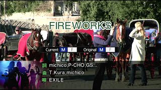 Fireworks  EXILE Karaoke Version [upl. by Ztirf]