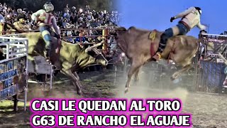 Z0RRITA DE CUBITAN OAXACA VS EL G63 DE RANCHO EL AGUAJE [upl. by Akim]